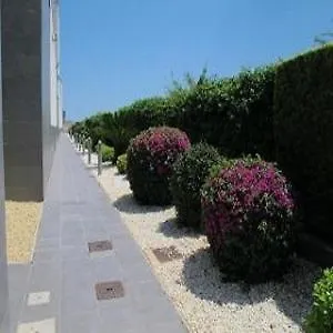 Bonito Con Terraza Y Piscina Oliva